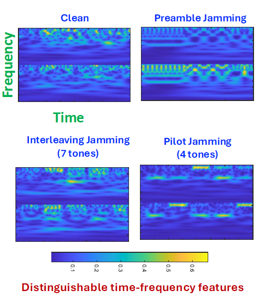 wavelet