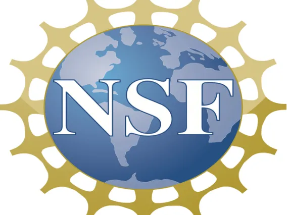 NSF